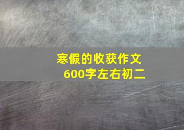 寒假的收获作文600字左右初二