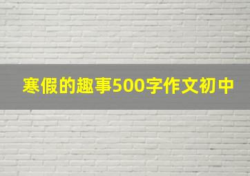 寒假的趣事500字作文初中