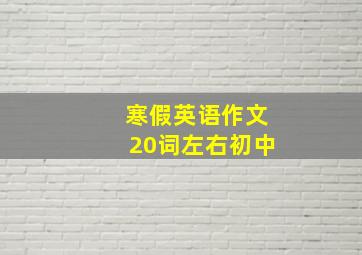 寒假英语作文20词左右初中