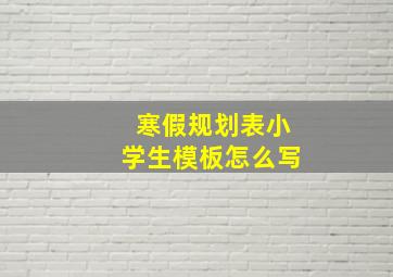 寒假规划表小学生模板怎么写