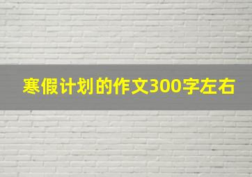 寒假计划的作文300字左右