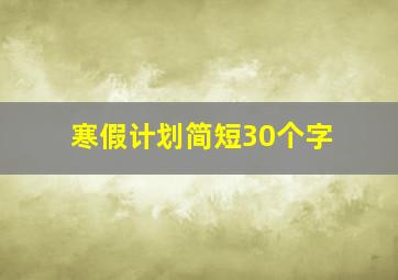 寒假计划简短30个字