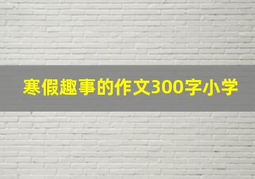 寒假趣事的作文300字小学