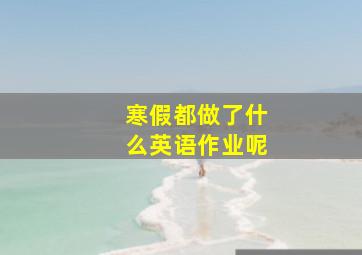 寒假都做了什么英语作业呢