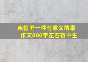 寒假里一件有意义的事作文800字左右初中生