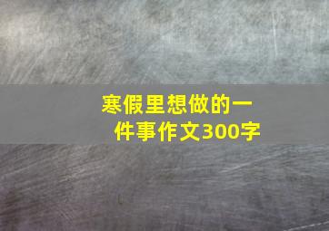 寒假里想做的一件事作文300字