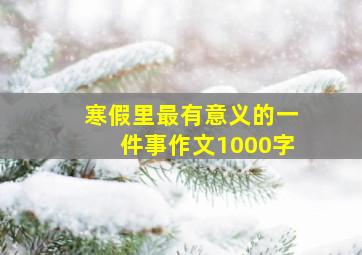 寒假里最有意义的一件事作文1000字