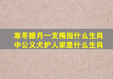 寒冬腊月一支梅指什么生肖中公义犬护人家是什么生肖