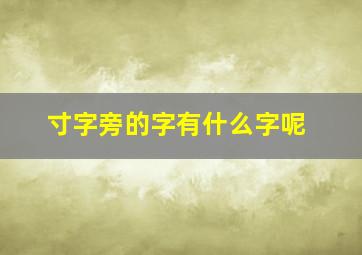 寸字旁的字有什么字呢