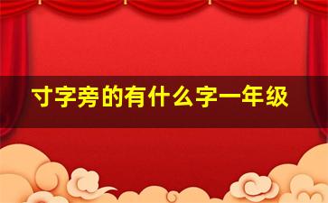 寸字旁的有什么字一年级