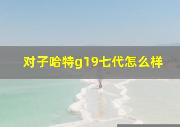 对子哈特g19七代怎么样