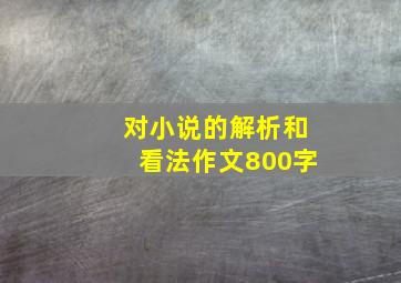 对小说的解析和看法作文800字