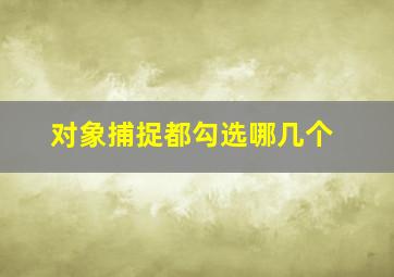 对象捕捉都勾选哪几个