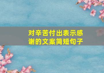 对辛苦付出表示感谢的文案简短句子