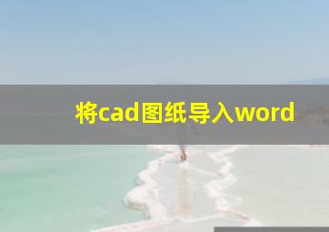 将cad图纸导入word