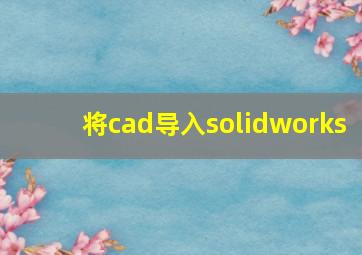 将cad导入solidworks