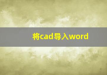 将cad导入word