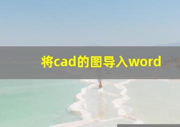 将cad的图导入word