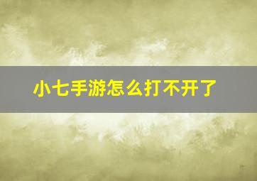 小七手游怎么打不开了