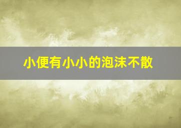 小便有小小的泡沫不散