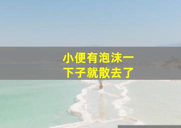 小便有泡沫一下子就散去了