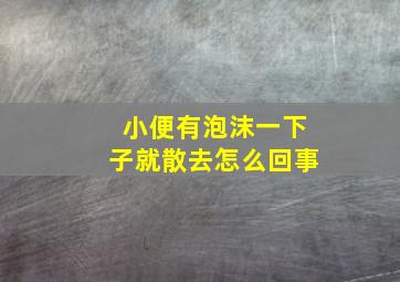 小便有泡沫一下子就散去怎么回事