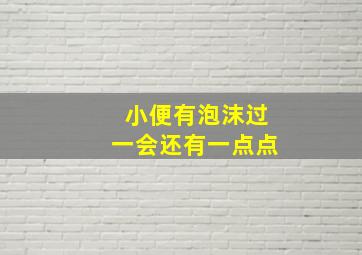 小便有泡沫过一会还有一点点