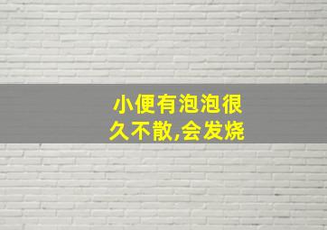 小便有泡泡很久不散,会发烧