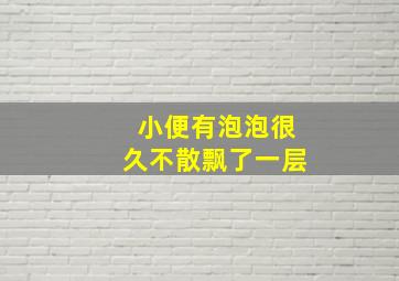 小便有泡泡很久不散飘了一层