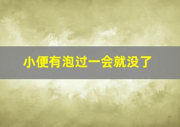 小便有泡过一会就没了