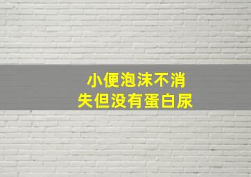 小便泡沫不消失但没有蛋白尿