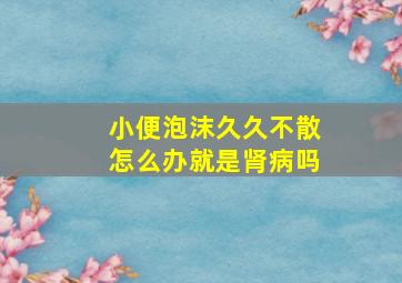 小便泡沫久久不散怎么办就是肾病吗