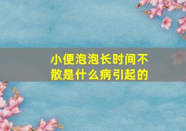 小便泡泡长时间不散是什么病引起的