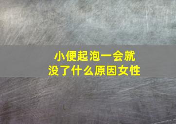 小便起泡一会就没了什么原因女性