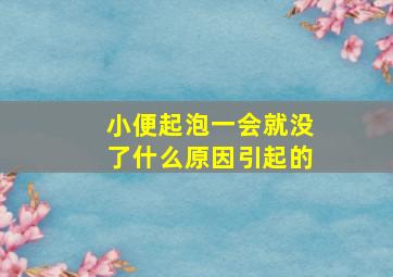 小便起泡一会就没了什么原因引起的