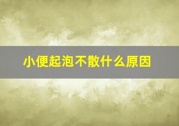 小便起泡不散什么原因