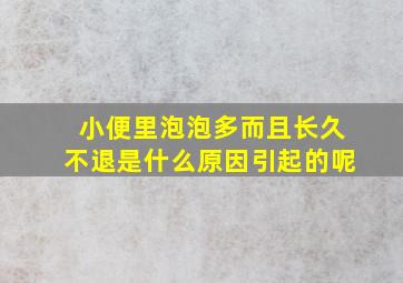 小便里泡泡多而且长久不退是什么原因引起的呢