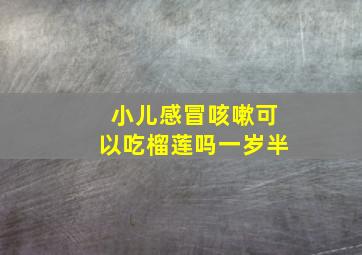 小儿感冒咳嗽可以吃榴莲吗一岁半