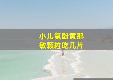 小儿氨酚黄那敏颗粒吃几片