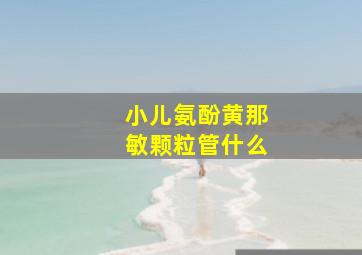 小儿氨酚黄那敏颗粒管什么