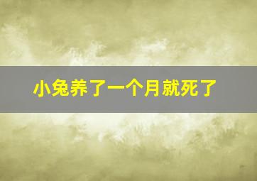 小兔养了一个月就死了