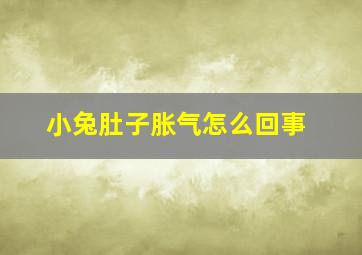 小兔肚子胀气怎么回事