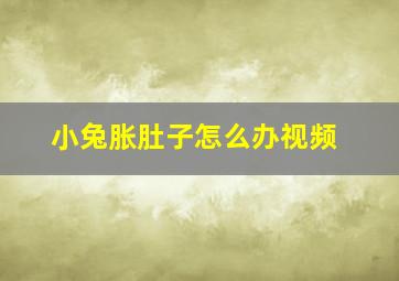 小兔胀肚子怎么办视频