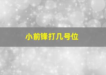 小前锋打几号位