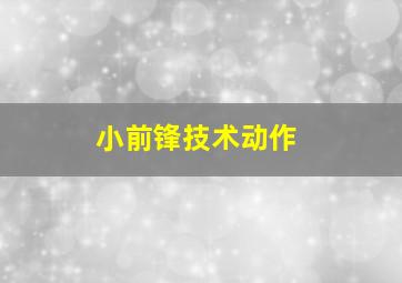 小前锋技术动作