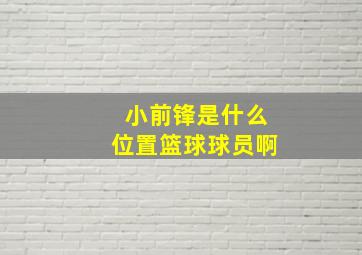 小前锋是什么位置篮球球员啊