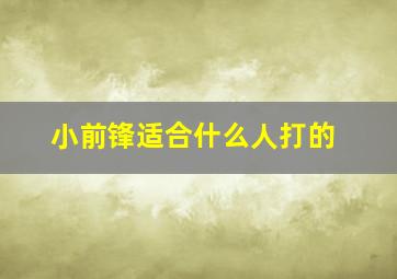 小前锋适合什么人打的