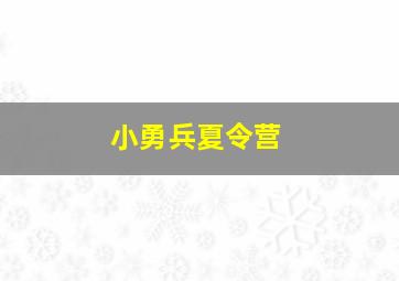 小勇兵夏令营