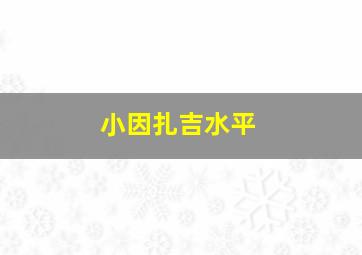 小因扎吉水平