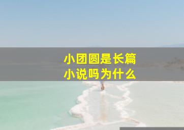 小团圆是长篇小说吗为什么